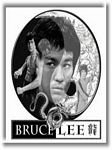 pic for bruce lee